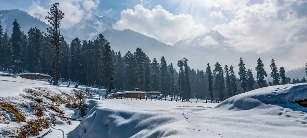 Kashmir Tour Packages