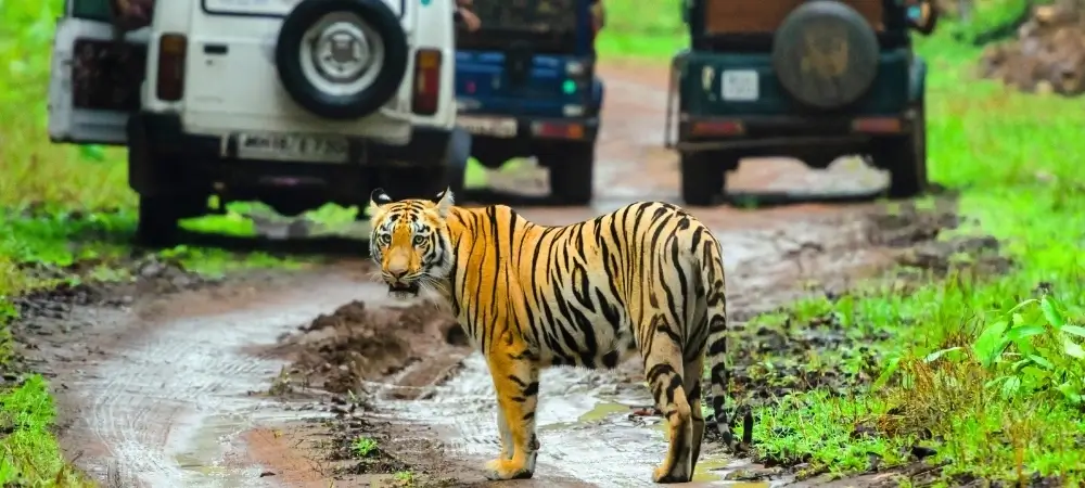 Rajasthan Tour Packages