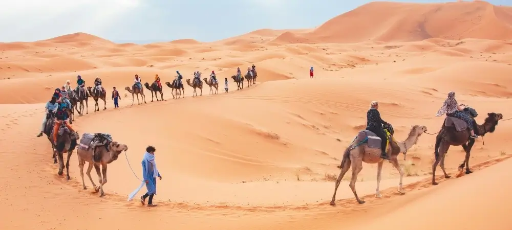 Rajasthan Tour Packages