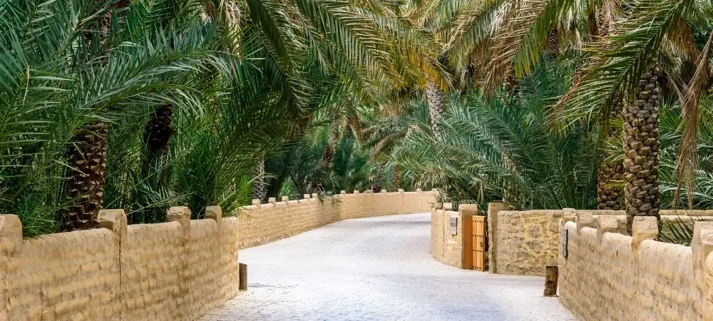 United Arab Emirates Tour Packages