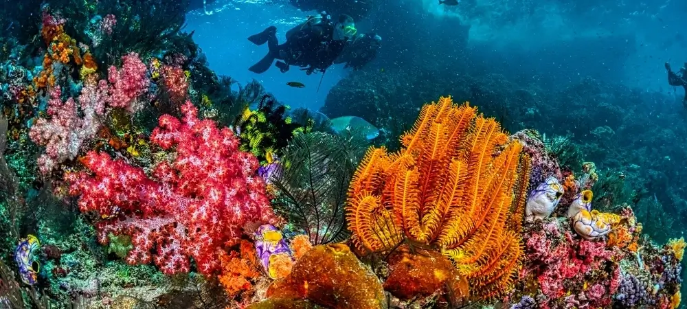 Indonesia Tour Packages