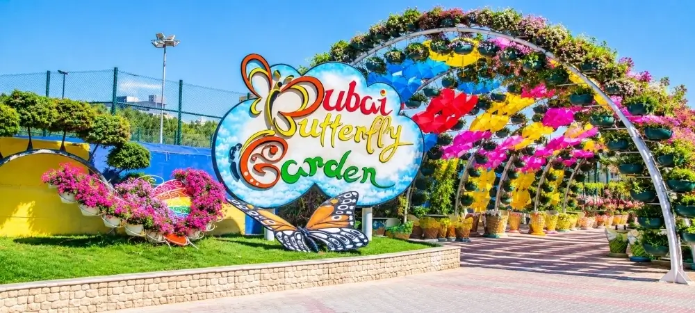 United Arab Emirates Tour Packages