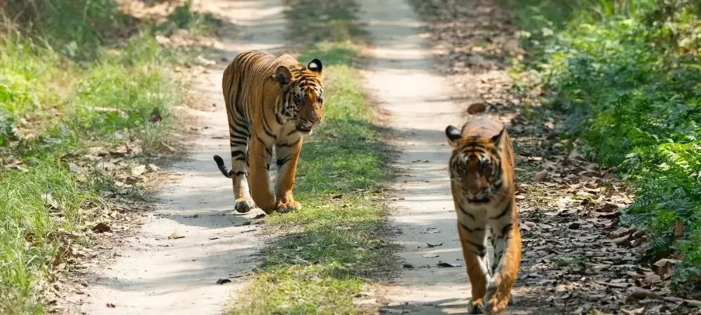West Bengal Tour Packages