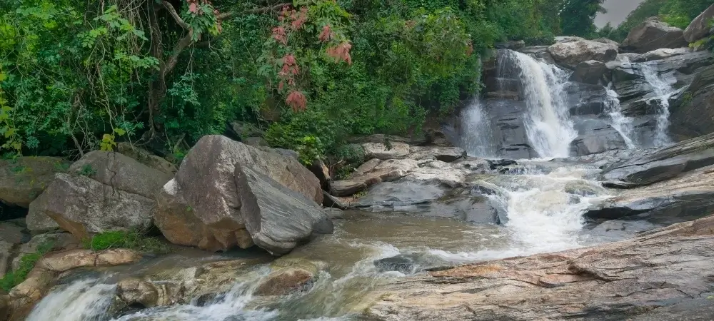West Bengal Tour Packages