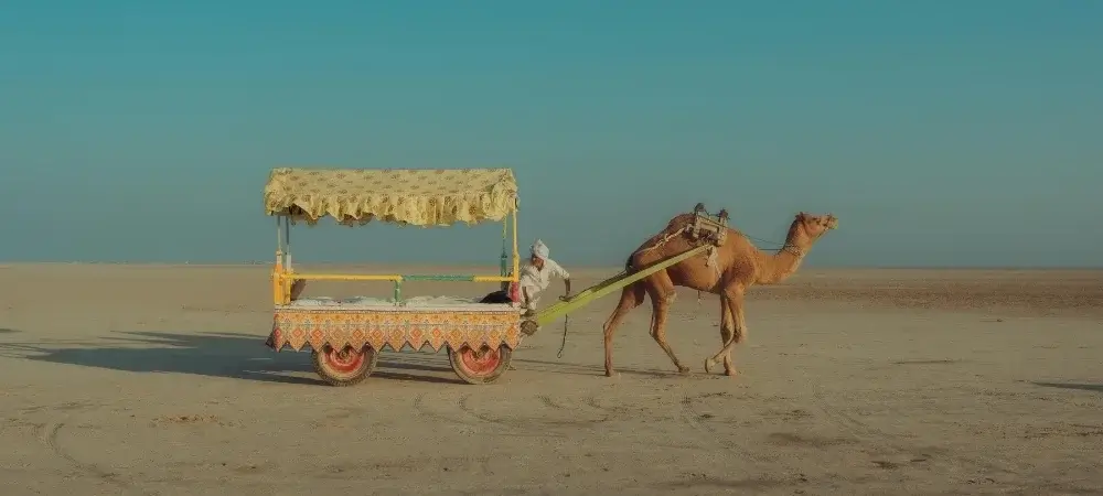 Gujarat Tour Packages